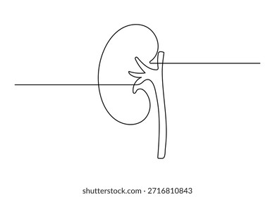 Continuous line drawing of a single human kidney organ for healthcare and urology symbols