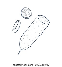 Continuous line drawing of sliced cucumber pickles. One line art concept of fresh food fruit and vegetable. Vector illustration