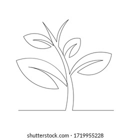 Continuous line drawing of small tree growth. Vector illustration