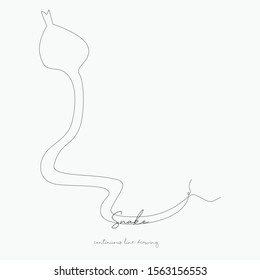 continuous line drawing. snake. simple vector illustration. snake concept hand drawing sketch line.