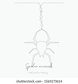 continuous line drawing. spider animals. simple vector illustration. spider animals concept hand drawing sketch line.