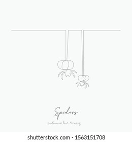 continuous line drawing. spiders. simple vector illustration. spiders concept hand drawing sketch line.
