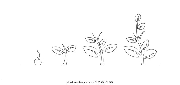 Continuous line drawing of step of tree growth. Vector illustration