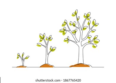 Continuous line drawing of step of tree growth. Vector illustration