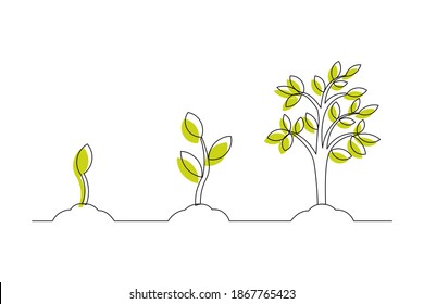 Continuous line drawing of step of tree growth. Vector illustration