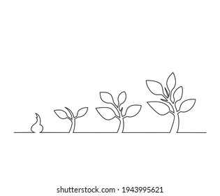 Continuous line drawing of step of tree growth. Tree branch line vector.