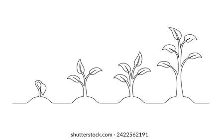 Continuous line drawing of step of tree growth. Plants grow isolated on white background template