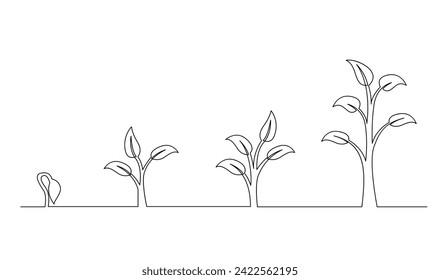 Continuous line drawing of step of tree growth. Plants grow isolated on white background template