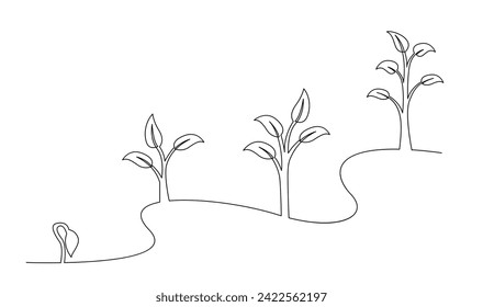 Continuous line drawing of step of tree growth. Plants grow isolated on white background template