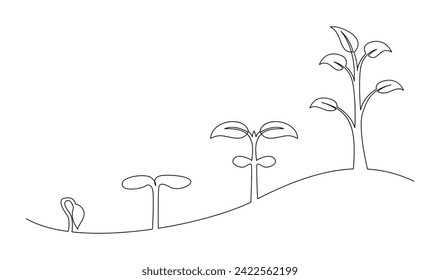 Continuous line drawing of step of tree growth. Plants grow isolated on white background template
