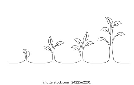 Continuous line drawing of step of tree growth. Plants grow isolated on white background template