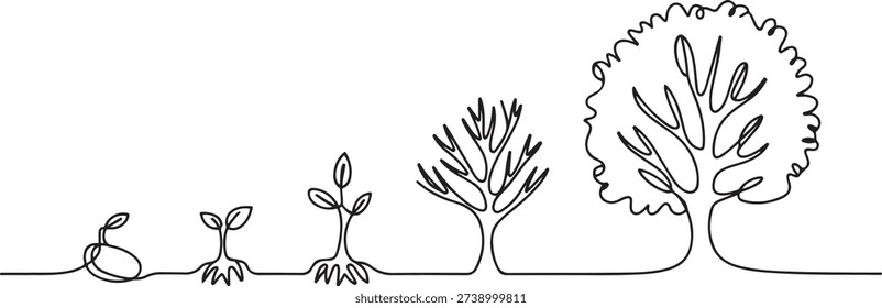Continuous line drawing of step of tree growth. Vector illustration. one line Art icon drawing vector