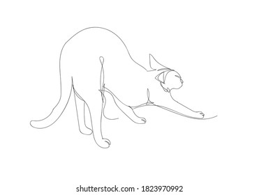 Continuous line drawing stock vector of stretched lazily cat for logo,banner,pattern,background,wallpaper,decoration,animals illustration,poster,advertising,coloring book,animals nature poster.