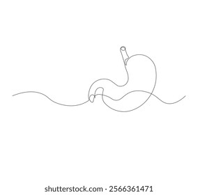 continuous line drawing of stomach, anatomy concept on minimalist white background. vector illustration