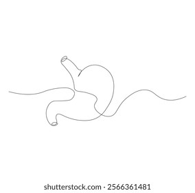continuous line drawing of stomach, anatomy concept on minimalist white background. vector illustration