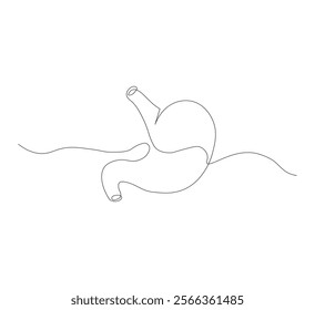 continuous line drawing of stomach, anatomy concept on minimalist white background. vector illustration