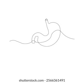 continuous line drawing of stomach, anatomy concept on minimalist white background. vector illustration