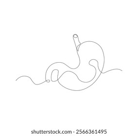 continuous line drawing of stomach, anatomy concept on minimalist white background. vector illustration