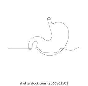 continuous line drawing of stomach, anatomy concept on minimalist white background. vector illustration