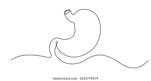 continuous line drawing of stomach.one line drawing of human digestive organs.line art vector illustration