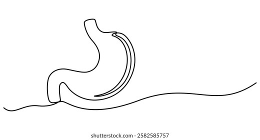 Continuous Line Drawing of Stomach Icon. Hand Drawn Symbol Vector Illustration, Stomach continuous one line drawing. Vector illustration minimalist human organ. Pro vector, Anatomical human stomach. 