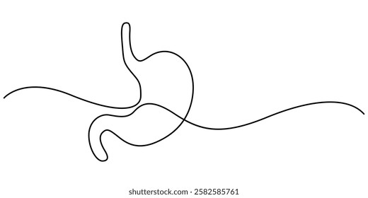 Continuous Line Drawing of Stomach Icon. Hand Drawn Symbol Vector Illustration, Stomach continuous one line drawing. Vector illustration minimalist human organ. Pro vector, Anatomical human stomach. 