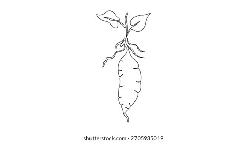 Dibujo de línea continua de batatas, Ilustración vectorial de dibujo de arte de una sola línea de batata vegetal,
