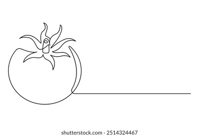 A continuous line drawing of a tomato, fresh tomato fruit vegetable in Continuous one line drawing

