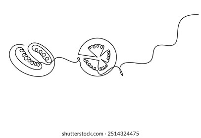 Eine durchgehende Linie Zeichnung einer Tomate, frisches Tomatenfruchtgemüse in durchgehende eine Linie Zeichnung
