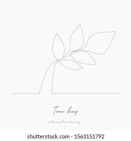 continuous line drawing. tree leaf. simple vector illustration. tree leaf concept hand drawing sketch line.