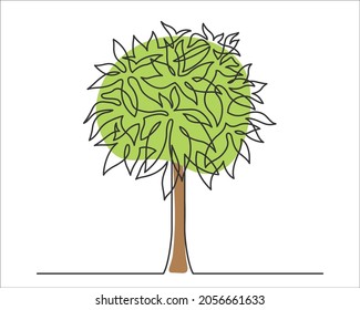 Continuous line drawing of tree. Money tree on white background. Colored vector illustration