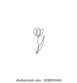 Dibujo de línea continua de tulipán, diseño de flor, objeto de una línea, arte de una sola línea, ilustración vectorial
