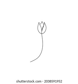 Continuous line drawing of tulip, flower design, object one line, single line art, vector illustration