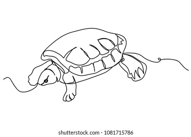 continuous line drawing of turtle swimming vector illustration
