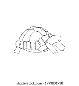 continuous line drawing of turtle tortoise. Single line art concept of aquatic water park. Vector illustration