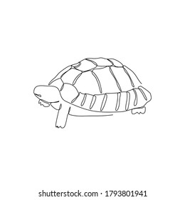 continuous line drawing of turtle tortoise. Single line art concept of aquatic water park. Vector illustration