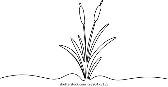 Continuous line drawing two