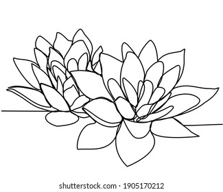 Continuous line drawing of two lotuses. The concept of beauty and nature, love. Ecology of aquatic plants. Water lily flower hand drawn design one outline sketch. Vector illustration.

