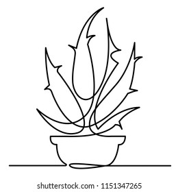 Aloe line drawing Images, Stock Photos Vectors