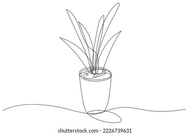 Continuous Line Drawing of Vector Aloe Vera simple logo icon for natural organic product package label. Isolated succulent one line leaf sign for cosmetic design template