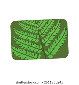 continuous line drawing of vector illustration of different type of leaves.
