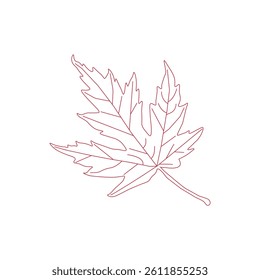 continuous line drawing of vector illustration of different type of leaves.