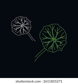 continuous line drawing of vector illustration of different type of leaves.