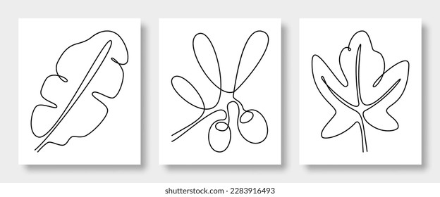 Continuous line drawing of vector leaves banana, olive, fig tree. Perfect for home decor such as posters, wall art, t-shirt, sticker, mobile phone case, cards and more. Vector illustration.