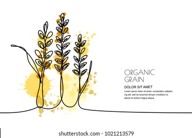 Continuous line drawing. Vector linear illustration of wheat, rice ears and grains on watercolor splashes background. Design elements for agriculture, organic cereal products, bakery.