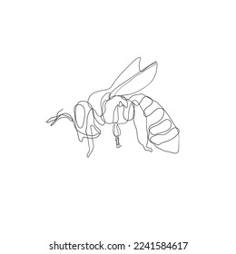 continuous line drawing wasps and bees illustration vector