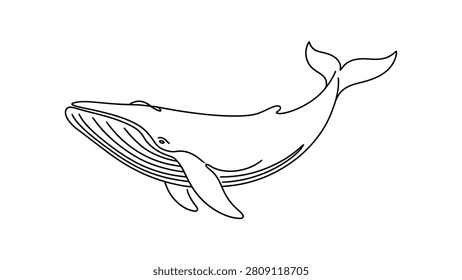 Continuous line drawing of whale side profile with streamlined body, baleen mouth and upward tail fluke, minimal black and white stylized illustration symbolizing ocean life and marine elegance