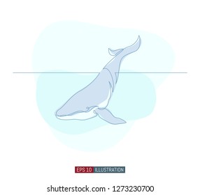 Continuous line drawing of whale. Template for your design works. Vector illustration.
