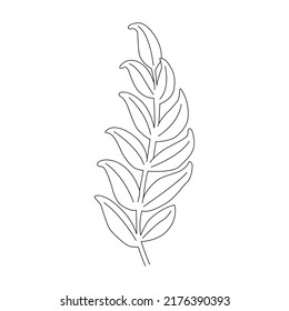 Continuous Line Drawing White Background. Line Illustration. Minimalist Prints. Vector EPS 10.