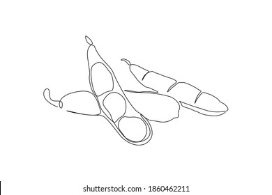 continuous line drawing of whole healthy organic green soy edamame for farm logo identity. One line art of fresh Japanese soy concept for vegetable icon. Vector illustration